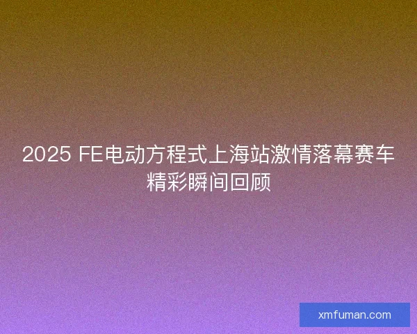 2025 FE电动方程式上海站激情落幕赛车精彩瞬间回顾