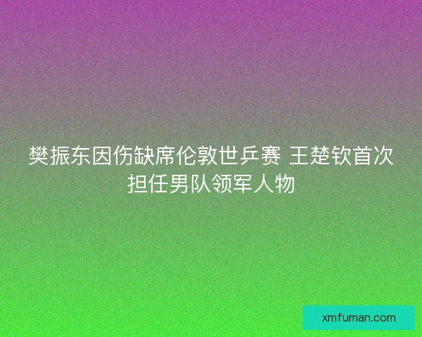 樊振东因伤缺席伦敦世乒赛 王楚钦首次担任男队领军人物